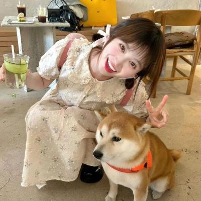 鲨鱼开大口